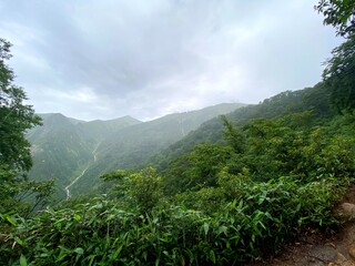 山頂から見える景色