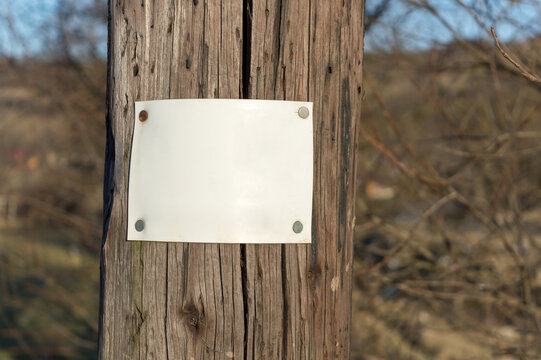 Blank sign stapled to a telephone pole