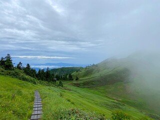 山頂から見える景色