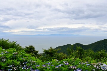 紫陽花と海