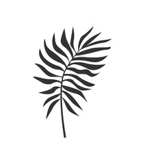 Palm leaf silhouette. Tropical plant leaf in simple style.