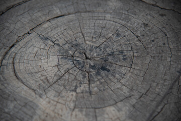 Close up texture on wood background.