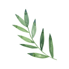 Watercolor green leaves