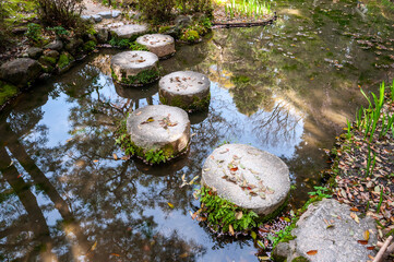 Stepping stones covered with leafs crossing water