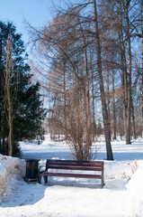 Resting place for visitors to the park. Wooden garden bench near large trees.