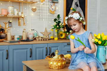 Easter composition. A girl in the kitchen with tulips at the table with ducklings sitting in a basket.