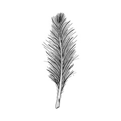 Realistic feather illustration. Idea for decors, logo, icon, gifts, ornaments, celebrations, invitation, greeting, meeting, holidays, nature themes.  Ready-made artwork. Isolated vector.  