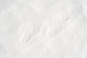 Fresh clean white snow background texture. Winter background with frozen snowflakes and snow mounds. Snow lumps. Seasonal landscape details. Cold weather.