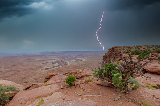 Lightning Stike In Canyonlands"