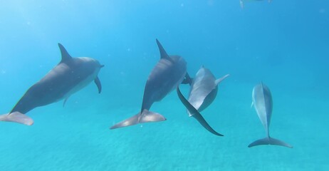 Hawaii Nice Nature Wallpaper in High Definition
