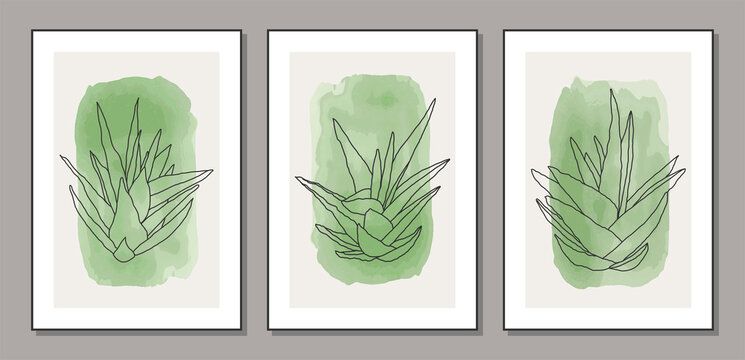Set of minimalist botanical line art composition with leaves abstract collage