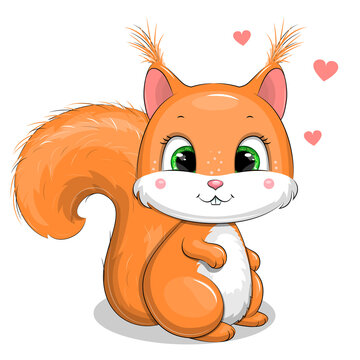 Cute cartoon red squirrel and hearts. Vector illustration isolated on  white. Stock Vector | Adobe Stock
