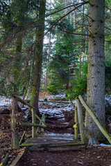 Waldlandschaft im Erzgebirge - Stollberg