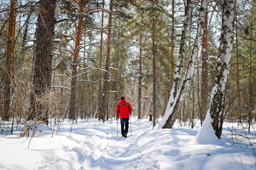 The man goes in for winter sports - nordic walking, walks with sticks through a snowy forest. Active people in nature.