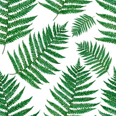 watercolor pattern with green branch. forest pattern