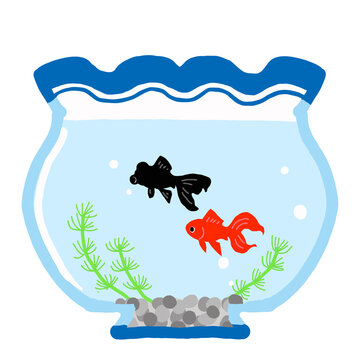 金魚鉢 Images Browse 1 137 Stock Photos Vectors And Video Adobe Stock