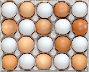 Eggs in carton. Eggs in box. Healthy Farm Food in eco packaging. White eggs among the dark ones in checkerboard pattern, concept.