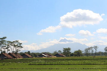 Fototapeta na wymiar This Picture capture in Distric Klaten, Region Of Central Java, Indonesia
