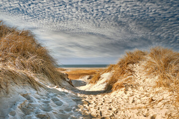 Dunes at the North Sea coast in Rindby at Fanoe, Denmark