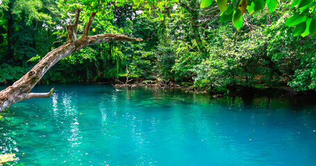 Beautiful natural turquoise water surrounded by lush, green tropical forest at the popular Blue Hole on the Pacific Island of Vanuatu