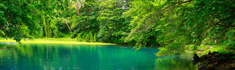 Spectacular, natural turquoise water surrounded by lush, green tropical forest at the popular Blue Hole on the Pacific Island of Vanuatu