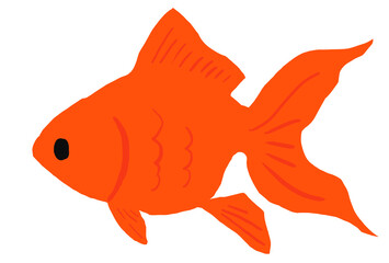 赤い琉金の金魚のイラスト
