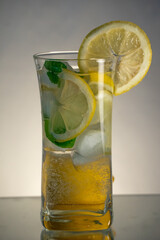 Semi sweet vermouth drink with indian tonic, ice, slices of lemon and leafes of mint in highball glass. whole fruit behind the glass.  Reflected surface and gradient background.