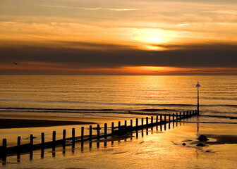 Obraz premium sunset at the beach