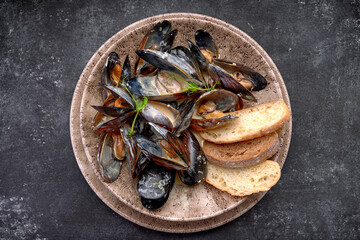 Mussel molluscs in creamy cheese sauce with toasts, on a plate, on a dark background with copy space. Horizontal