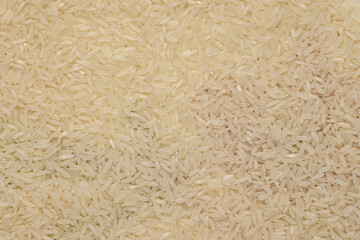 Closeup rice seed background, texture.