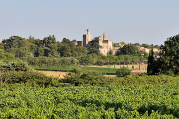 Fototapeta na wymiar Village de Provence et son château - paysage