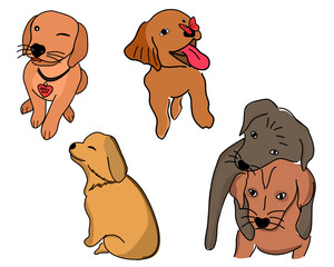 Cute Dogs of different characters, Hug, colors, doggie cute smile.