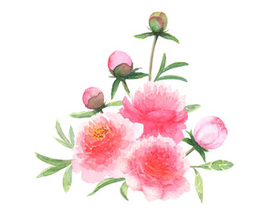 Watercolor pink peonies flowers and buds bouquet