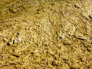 Fond de sable dans une rivière