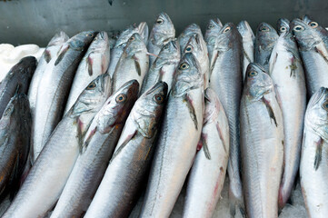 Obraz premium Raw fish 