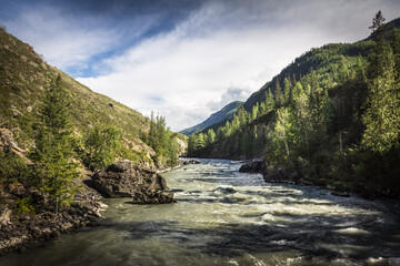 Fototapeta na wymiar Raging mountain river, Chuya Tributary of the Katun River. Mountain Altai