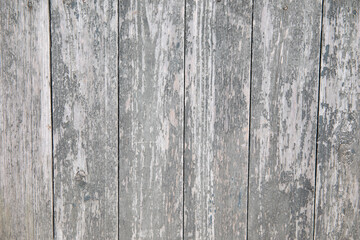 Wooden old background with shabby planks and greenish marsh color