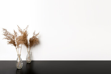 Dried flowers in a vase. Near a light wall.