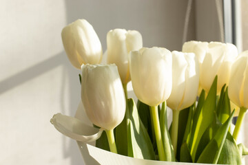 a bunch of white natural tulips