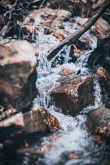 Spring waterfall in the forest