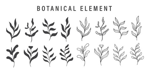 set of botanical element vector
