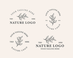 botanical logo template design vector