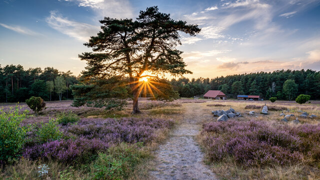 Sonnenuntergang in der Heide