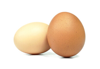 Two raw chicken eggs, Speckled egg, Close up, Isolated on white background
