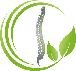 Wirbelsäule und Blätter, Rücken, Orthopädie und Massage Logo, Icon