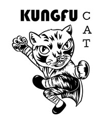Fototapeta na wymiar Kungfu cat, fighter cat.