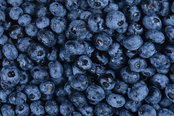Fresh blueberry background. Texture blueberry berries close up.