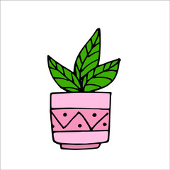 vector doodle flower pink potted illustration