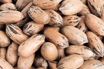 Macro Shot Of Pecan Nuts In Shell