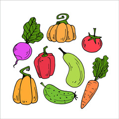 vector doodle gardening illustration. vegetables icons set. tomato, pumpkin, kobachok, cucumber, eggplant, radish, beet, carrot, pepper